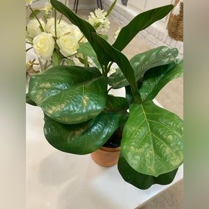 Fiddle leaf plant artificial🌳🍀